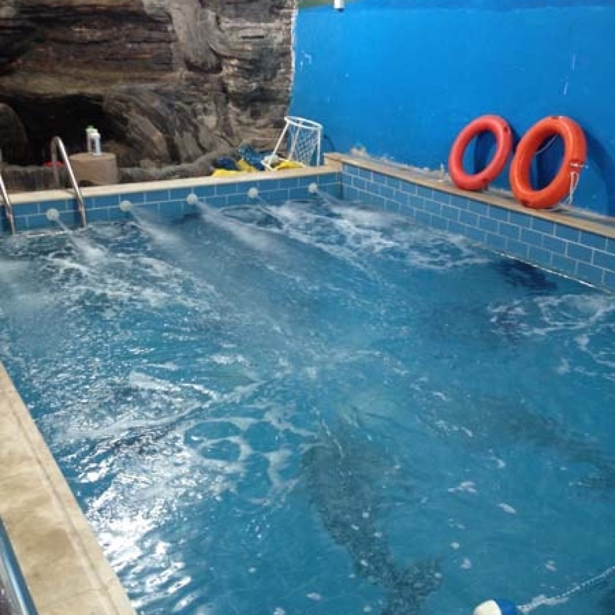 PRIVATE COMPOUND-seeming poole